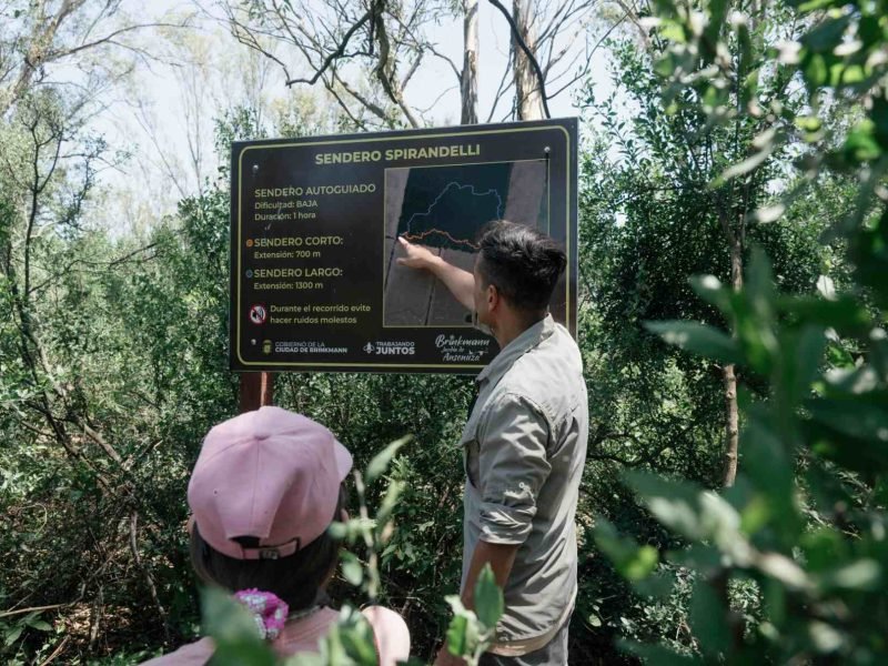 Bosque Spirandelli en Brinkmann