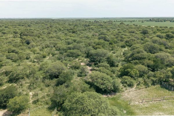 Reserva Comunal Las Saladas (32 ha)