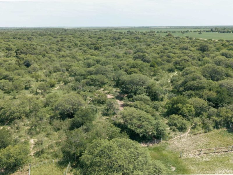 Reserva Comunal Las Saladas (32 ha)