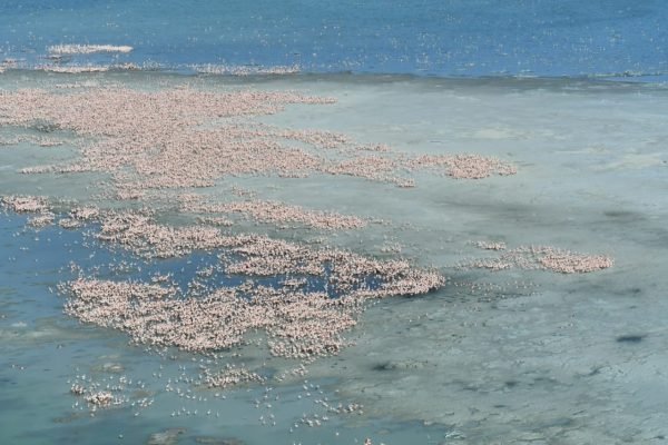 PARQUE NACIONAL ANSENUZA