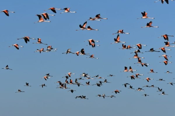 PARQUE NACIONAL ANSENUZA