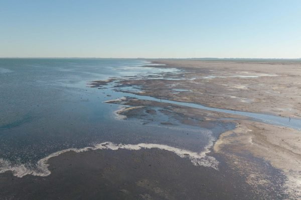 Portal Área Protegida Ansenuza