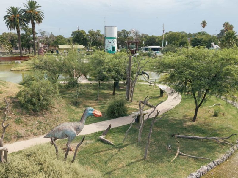 compressed_DJI_20260113170949_0343_D