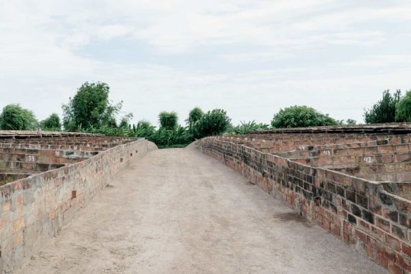 Criaderos de nutrias (coipo)