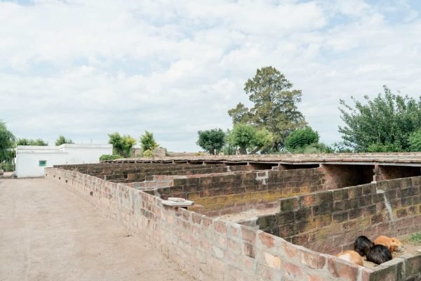 Criaderos de nutrias (coipo)