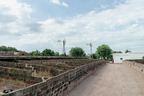 Criaderos de nutrias (coipo)