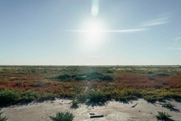 Portal Área Protegida Ansenuza
