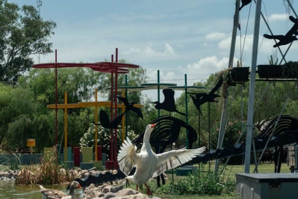 Jardín Acuático La Puerta