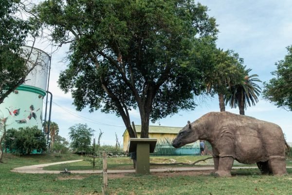 Parque Temático Megafauna de Ansenuza