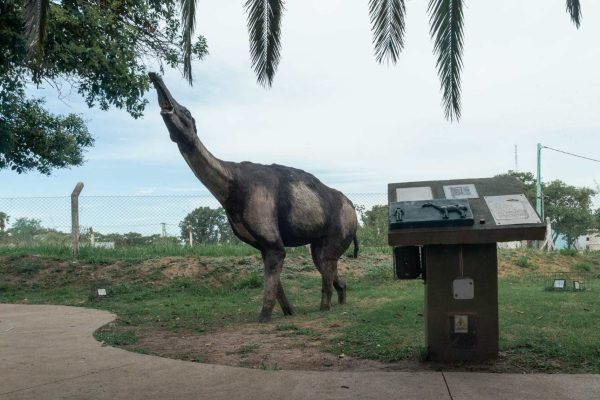 Parque Temático Megafauna de Ansenuza