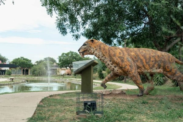 Parque Temático Megafauna de Ansenuza