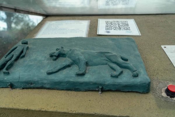 Parque Temático Megafauna de Ansenuza