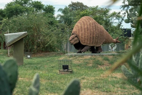 Parque Temático Megafauna de Ansenuza