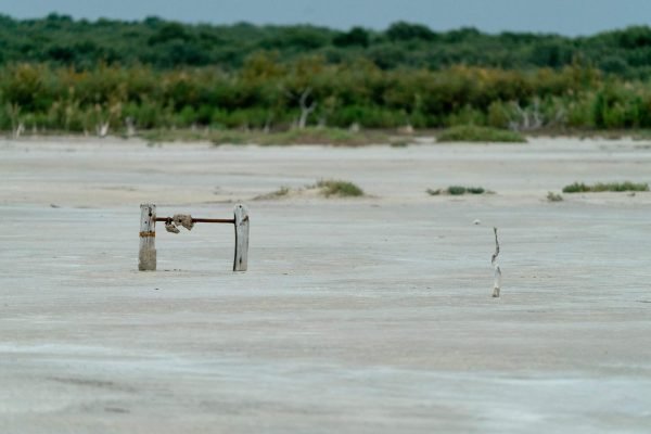 Reserva Municipal “Bahía de Ansenuza”
