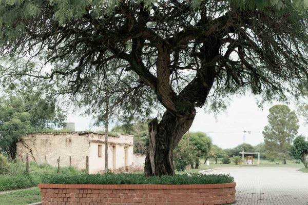 Algarrobo Histórico