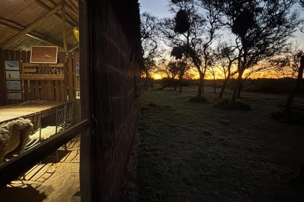 Rancho Viejo en Altos de Chipión