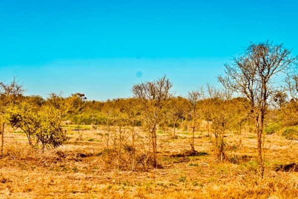 Rancho Viejo en Altos de Chipión