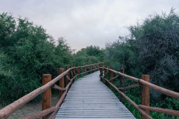 Reserva Municipal “Bahía de Ansenuza”