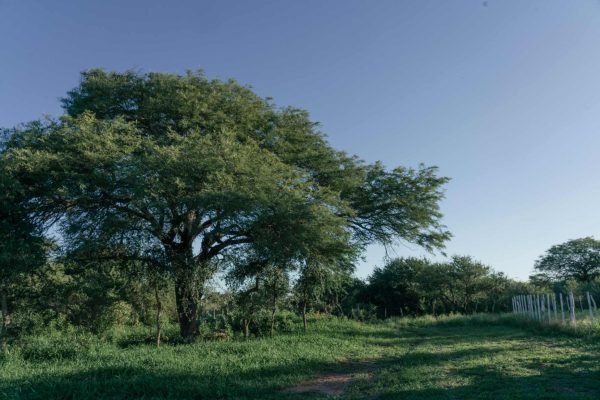 Reserva Comunal Las Saladas (32 ha)