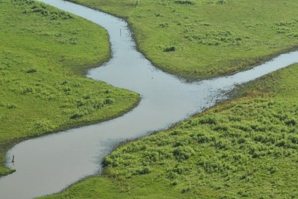 PARQUE NACIONAL ANSENUZA